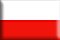 Polish website